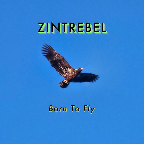 Zintrebel - Born To Fly