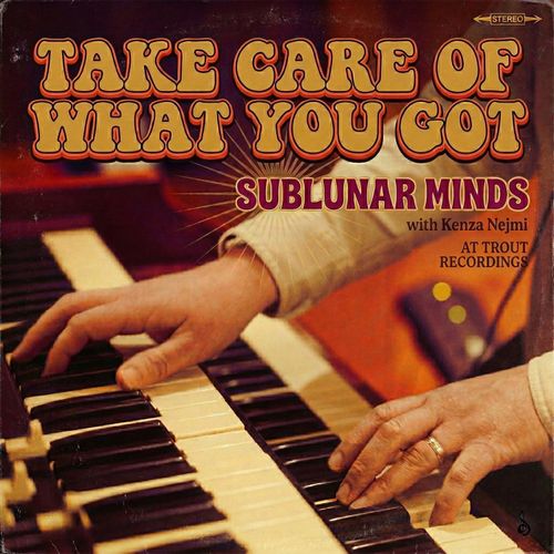 Sublunar Minds - Take Care Of What You Got
