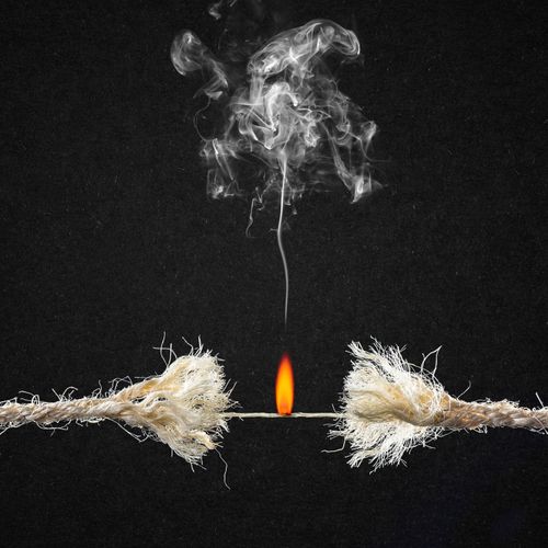 Bishop Battle - Everything