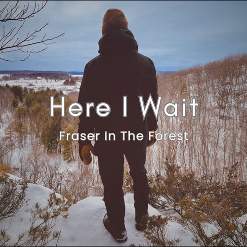 Fraser In The Forest - Here I Wait