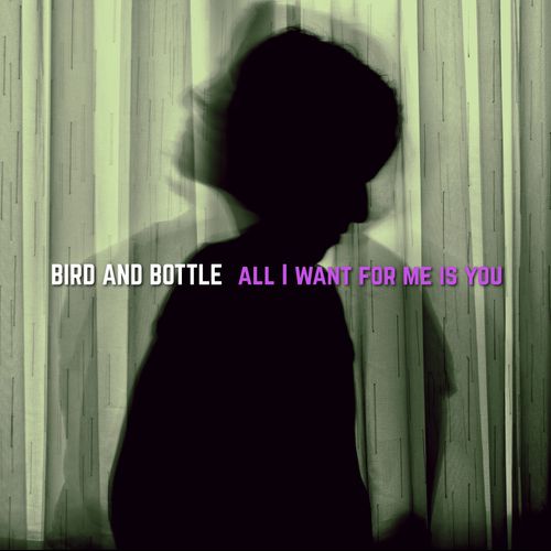 Bird and Bottle - All I want for me is You (Owl John  Cover)