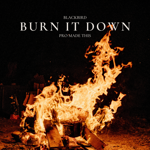 Blackbird x Pro Made This - Burn It Down